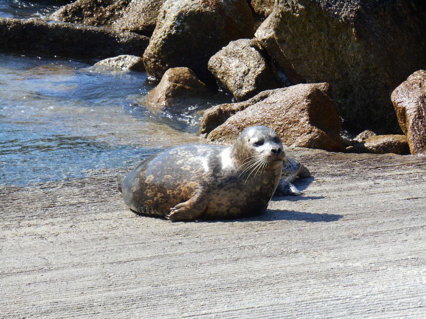 Monterey Peninsula Sightseeing Tour Including 17 Mile Drive - Sightseeing Stops and Attractions