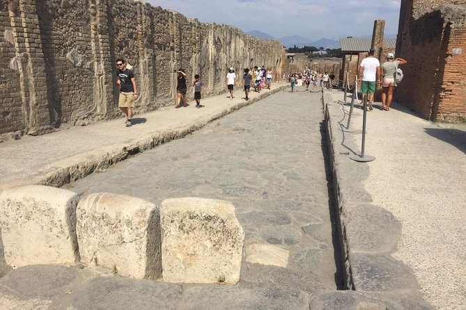 Naples Shore Excursion: Pompeii and Sorrento Day Trip - Additional Information