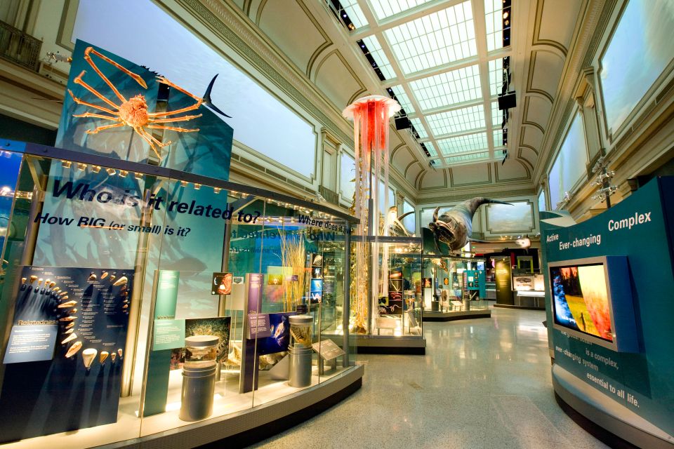 National Museum of Natural History Guided Tour - Cancellation Policy