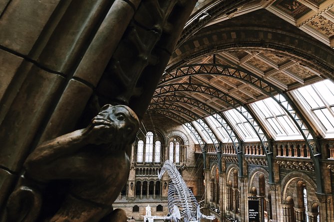 Natural History Museum London - Private Guided Museum Tour - Cancellation and Refund Procedures