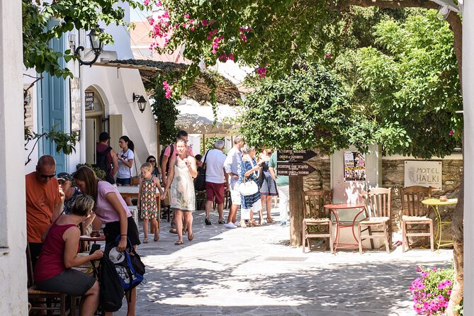 Naxos Half Day History and Culture Guided Tour - Temple and Village Visits