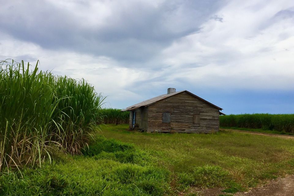 New Orleans: Destrehan Plantation & Airboat Combo Tour - Language Accommodations