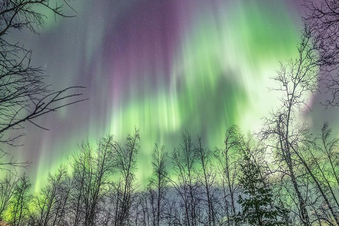 Northern Lights Private Tour With Your Special Ones - Greenlander - Customized Experiences