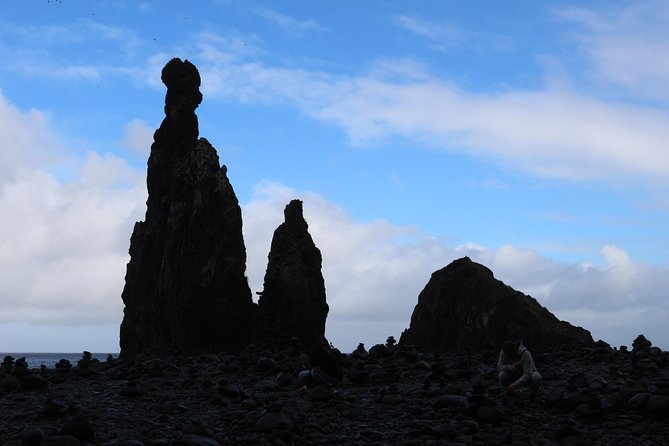 Northwest Terraces and Volcanic Pools 4x4 Full Day Tour - Discover Laurissilva Forest