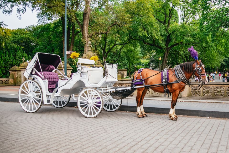 NYC: Guided Central Park Horse Carriage Ride - Booking and Cancellation