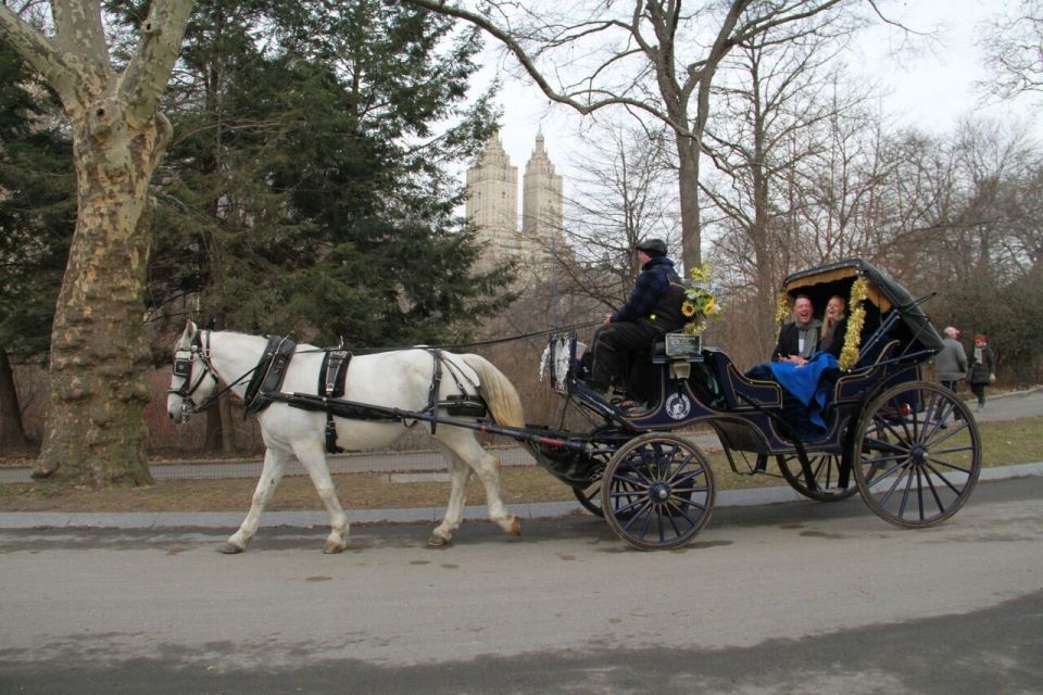 NYC Horse Carriage Ride in Central Park (65 Min) - Feeding the Horses