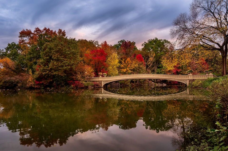 NYC:Guided Central Park Horse Carriage Ride - Relaxing Journey