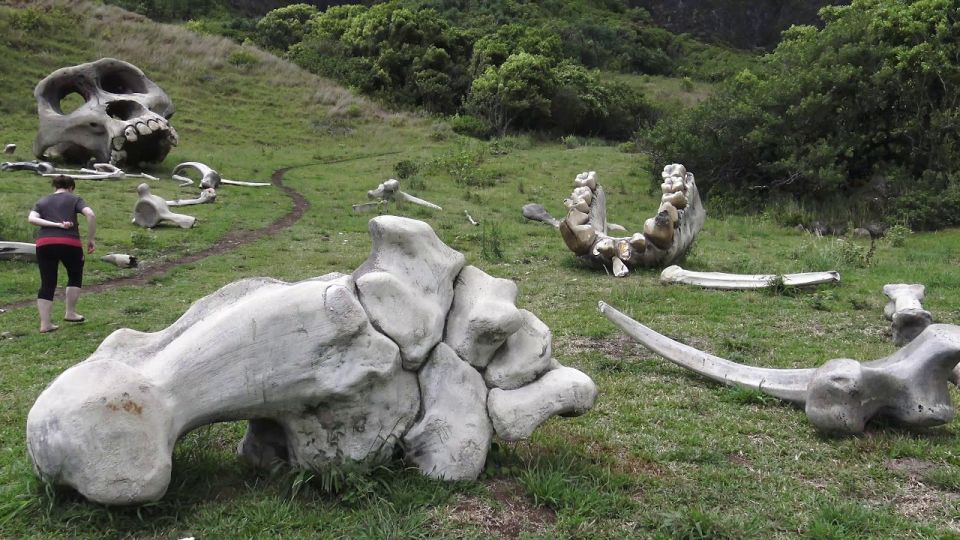 Oahu: Kualoa Movie Sites, Jungle, and Buffet Tour Package - Enjoying the Complimentary Buffet Lunch