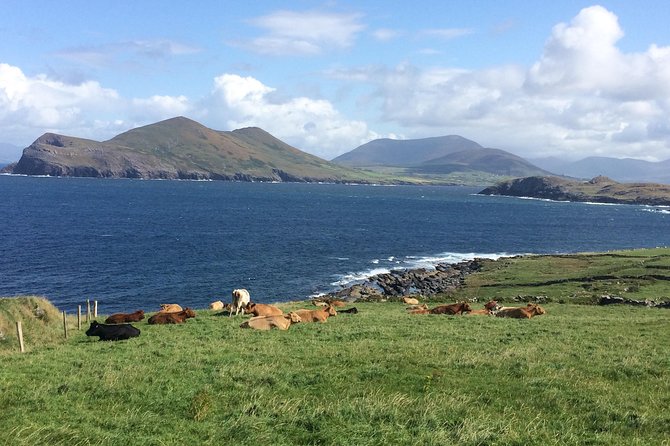 Off the Beaten Path Private Tour of Ring of Kerry - Killarney National Park