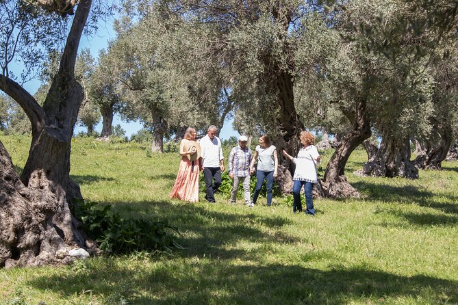 Olive Oil Tasting Under the Shades of Olive Trees / Crete - Participant Reviews