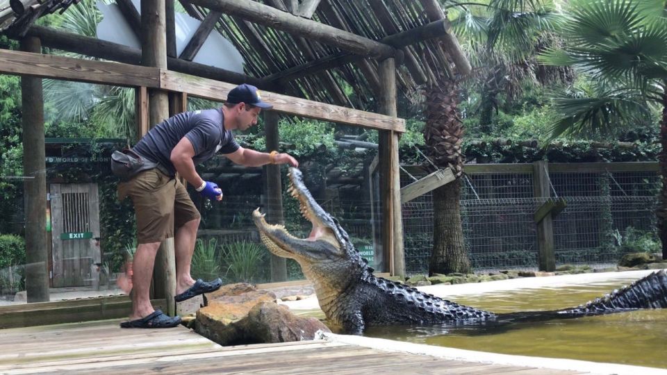 Orlando: Everglades Airboat Ride and Wildlife Park Ticket - Wildlife Park Attractions