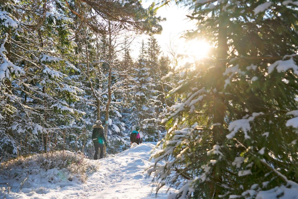 Oslo: Snow Hike to Vettakollen With Oslofjord Winter View - Visit to the Norwegian Cabin