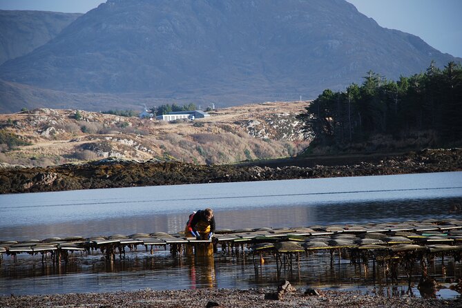 Oyster Farm and Tasting Experience - Directions and Location