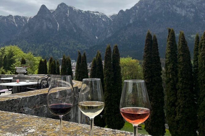 Peles & Cantacuzino Castles: Gourmet Wine & Cultural Day trip - Tour Booking Information