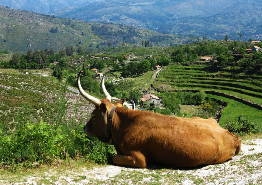 Peneda-Gerês: Full-Day Premium Tour - River Beach Exploration