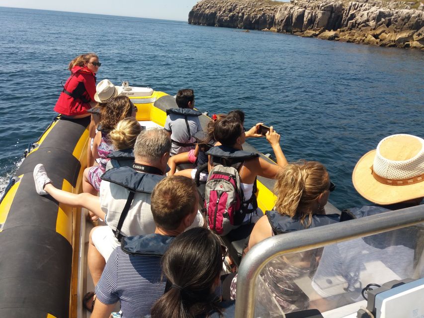 Peniche: Dolphin Route Boat Trip - Frequently Asked Questions