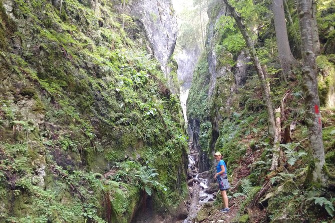 Piatra Craiului National Park Private Hiking Tour From Brasov - Included Services