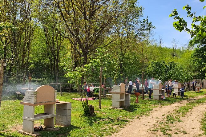 Picnic Area With Barbecue Equipment in Capranica (Vt) - Additional Information