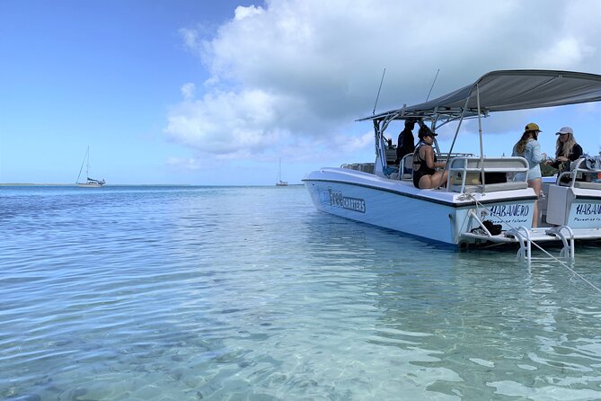 Pink Sand Beach and Swimming Pigs Adventure From Nassau - Encounter With Swimming Pigs