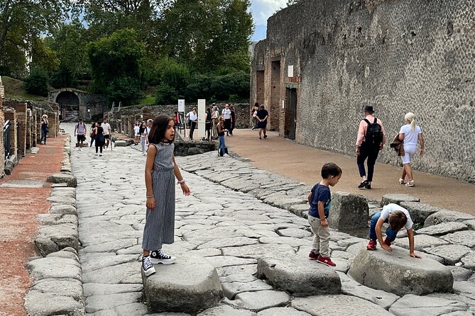 Pompeii Private Tour From Naples Cruise, Port or Hotel Pick up - Cancellation Policy and Availability