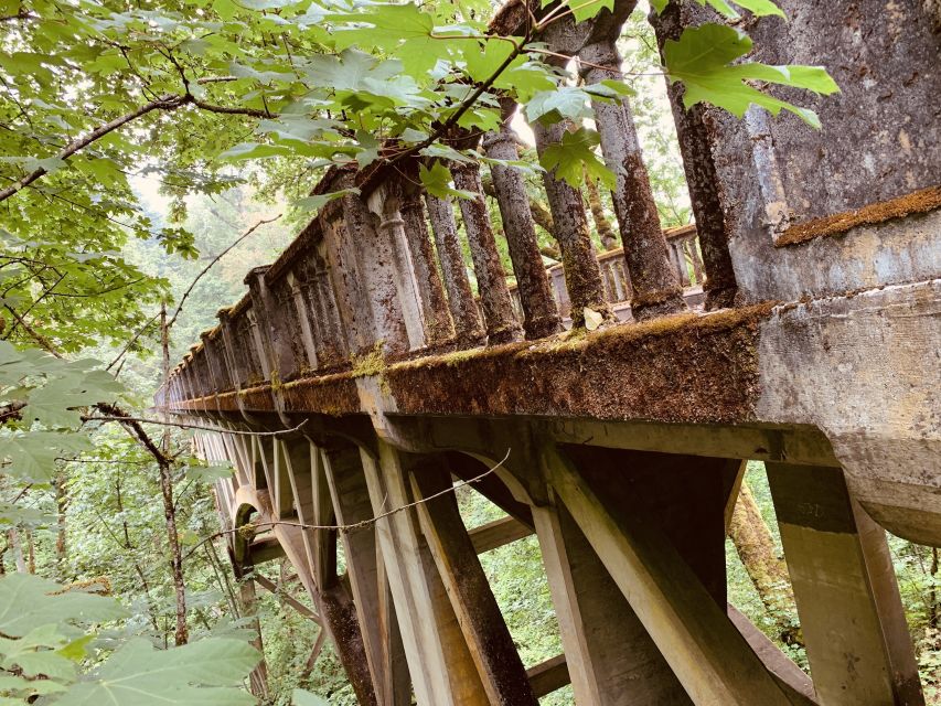 Portland: Columbia River Gorge Waterfalls Morning Tour - Availability