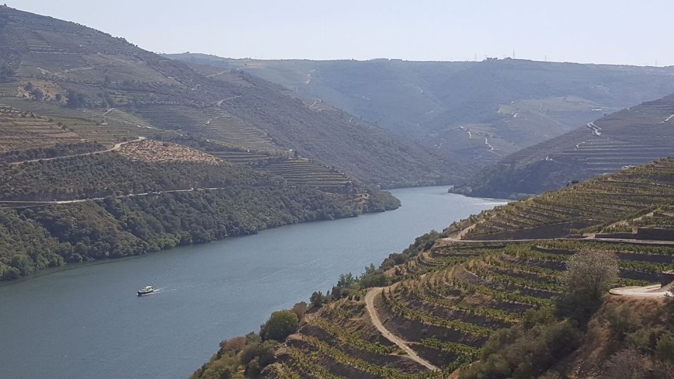 Porto: Douro Valley Tour With Winery Tasting, Cruise & Lunch - Scenic Douro River Cruise