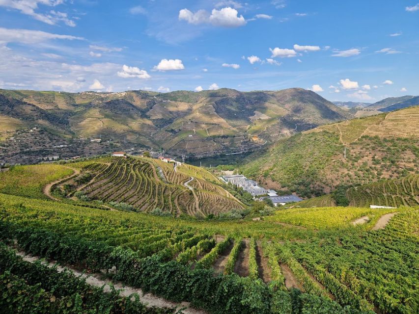 Porto: Private Douro Valley & Wine Tour With Lunch & Cruise - Discovering Peso Da Régua Highlights