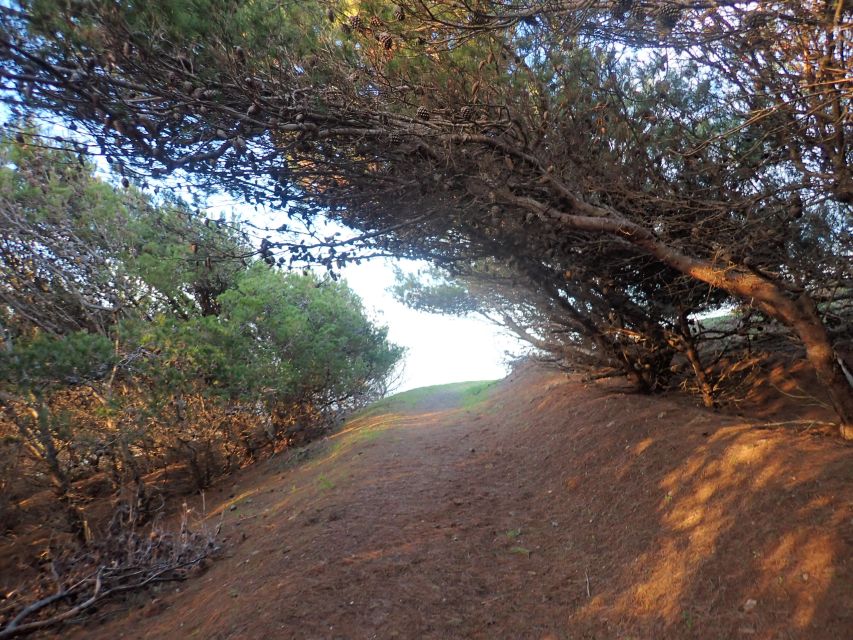 Porto Santo - Pico Do Facho Hiking Tour - Tour Itinerary