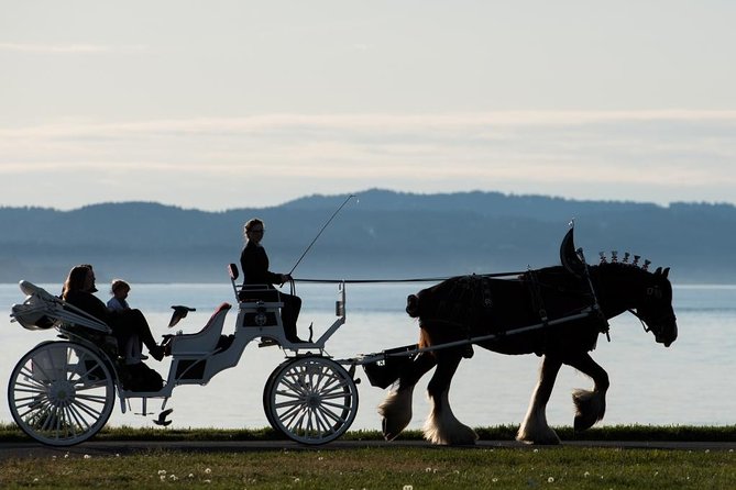 Premier Horse-Drawn Carriage Experience in Victoria - Reviews and Highlights