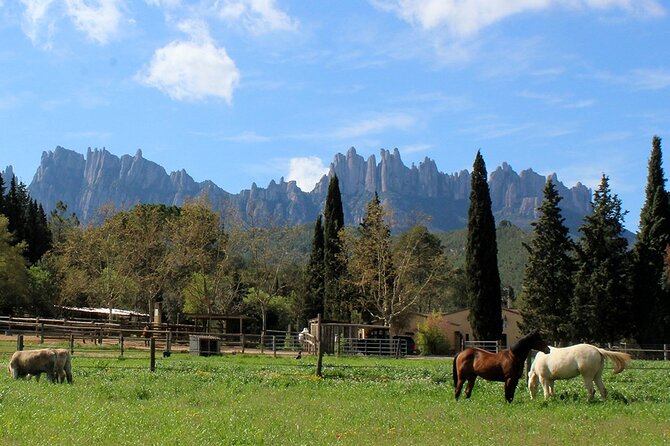 PREMIUM SMALL GROUP: Montserrat Horseback Riding & Monastery - Scenic Horseback Riding