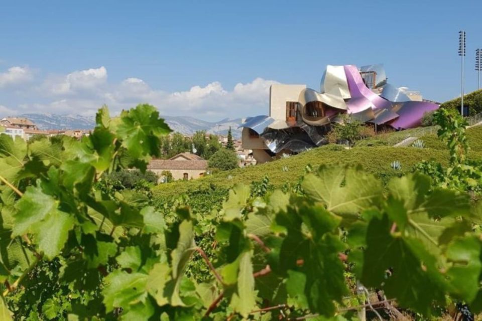 Premium Wine Tour of Rioja With Gourmet Lunch (From Bilbao) - Booking and Cancellation