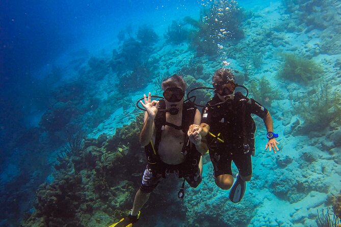 Private 2 Tank Guided Experience in Curaçao for Certified Divers - Private Transportation