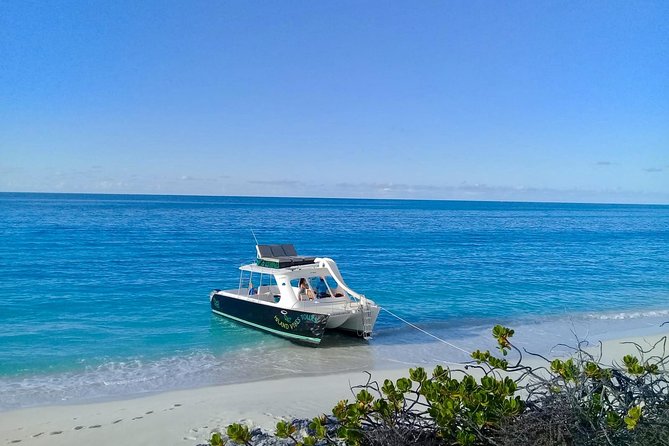 Private 4 Hour Power Catamaran Excursion in Grace Bay - On-board Facilities