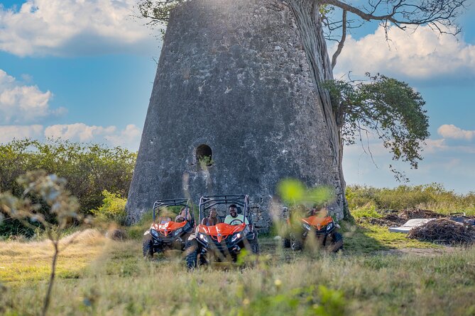 Private Buggy Excursion in Guadeloupe - Memorable Moments on the Buggy