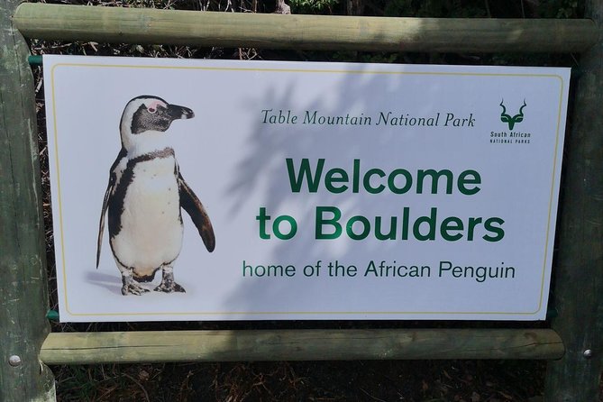 Private Cape of Good Hope Cape Point Penguin Kirstenbosch Tour. - Scenic Drive and Optional Excursions