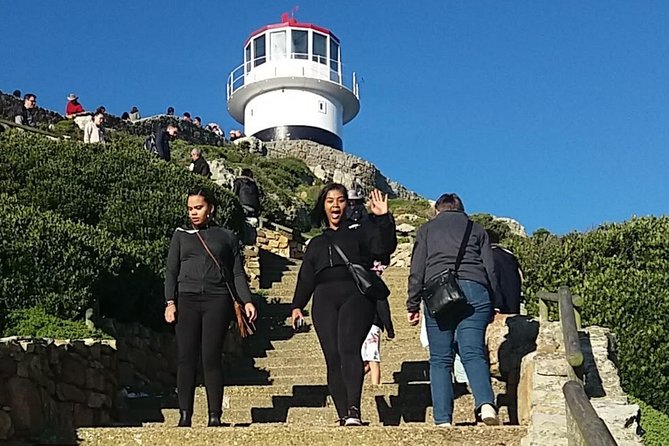 Private Cape Point Penguins Tour - a Full Day of Exploring the Cape Peninsula - Additional Information