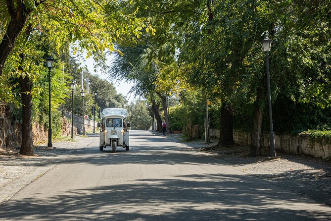 Private Electric Tuktuk Tour of Romes Landmarks - Unique Perspective