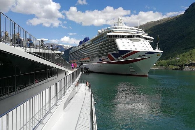 Private Guided Tour - Premium Nærøyfjord Cruise and Flåm Railway - Bergen Railway Connection