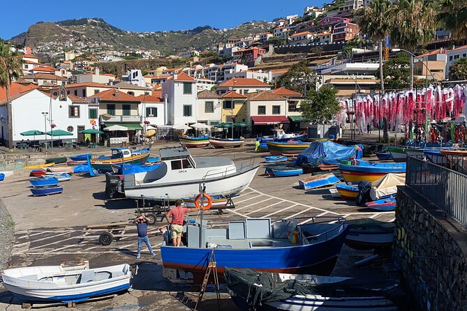 Private Half Day Madeira Tour (Mercedes Viano/Vito) - Customization Options