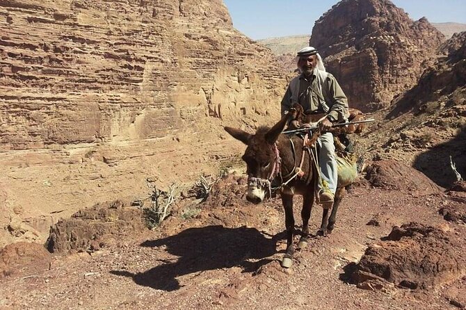 Private Half-Day Tour of Petra With Lunch - Logistical Information