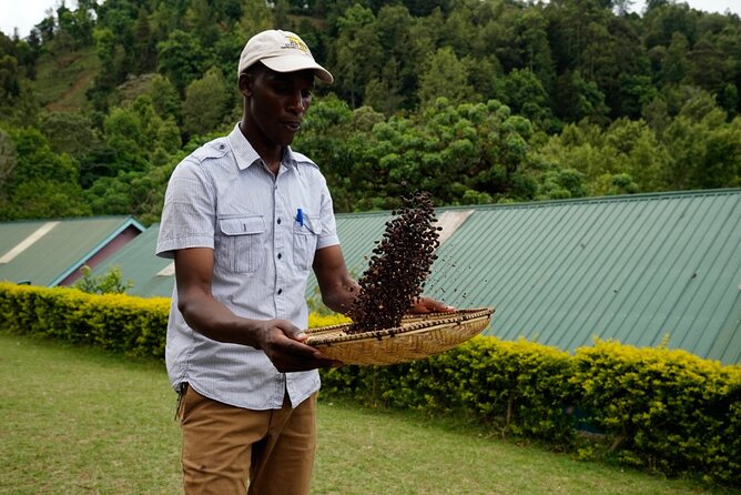 Private Meru Coffee Tour in Nkoaranga - Accessibility and Restrictions