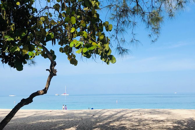 Private Swim Lesson or Triathlon Training on Seven Mile Beach! - Scenic Environment