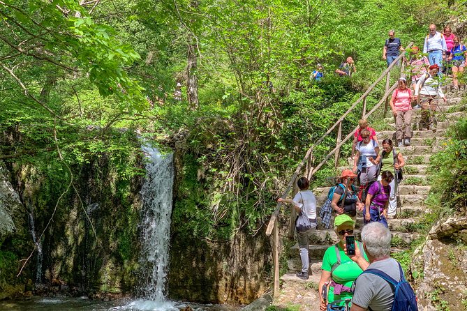 Private Tour: Amalfi Valle Delle Ferriere Nature Reserve Walking Tour - Tour Requirements and Recommendations