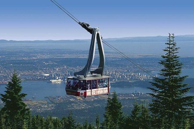 Private Tour: Capilano Suspension Bridge and Grouse Mountain - Tour Inclusions and Exclusions