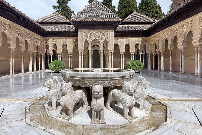 Private Tour From Malaga to the Alhambra Palace and Granada for up to 8 Persons - Exclusive Transportation