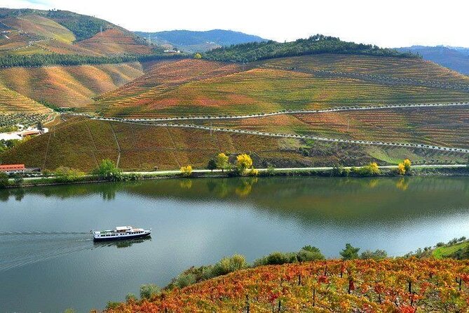 Private Tour in Douro - Roasted Lamb Lunch