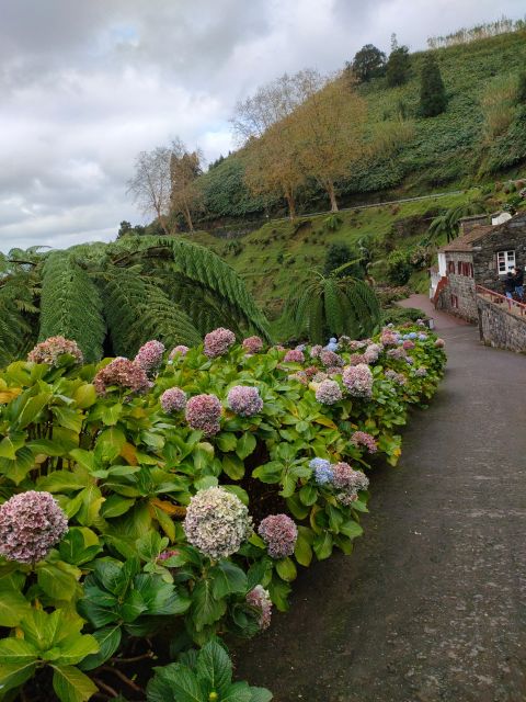 Private Tours Best Spots (Views) in Sao Miguel Island - Customizable Tour Experience