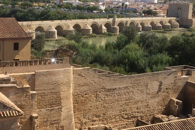 Private Visit Mosque-Cathedral, Jewish Quarter, Alcazar and Synagogue - Exploring the Jewish Quarter