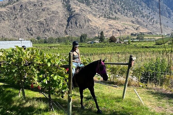 Private Wine Tour With Horseback Riding and Lunch - Horseback Riding Experience