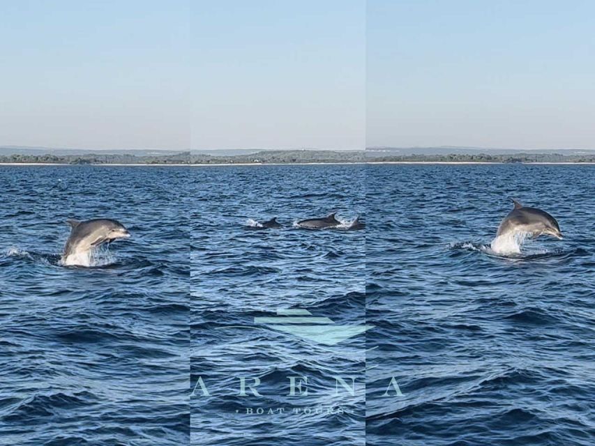 Pula:FANTASTIC DOLPHIN SUNSET TOUR,DINNER & DRINKS( BRIJUNI) - What to Bring